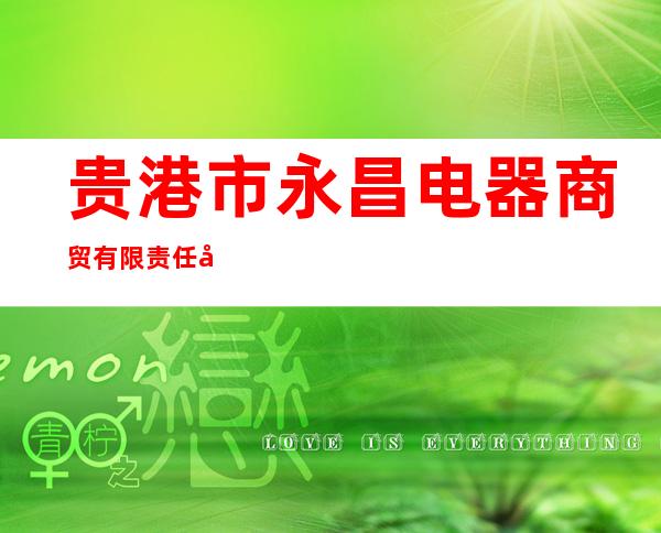 贵港市永昌电器商贸有限责任公司
